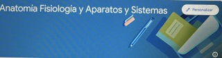 Anatomía